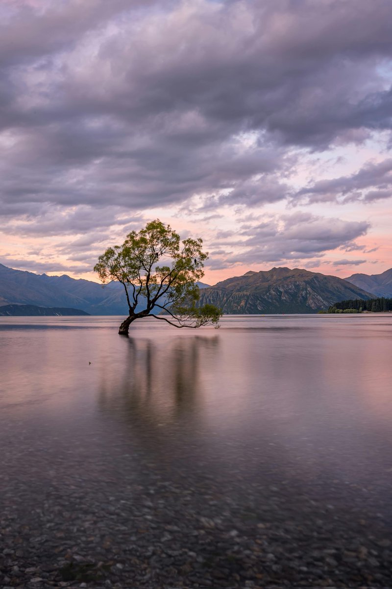 emily_anna1995's tweet photo. Beautiful Nature!
#nature 
#NaturePhotography https://t.co/TLhcIuIX53
