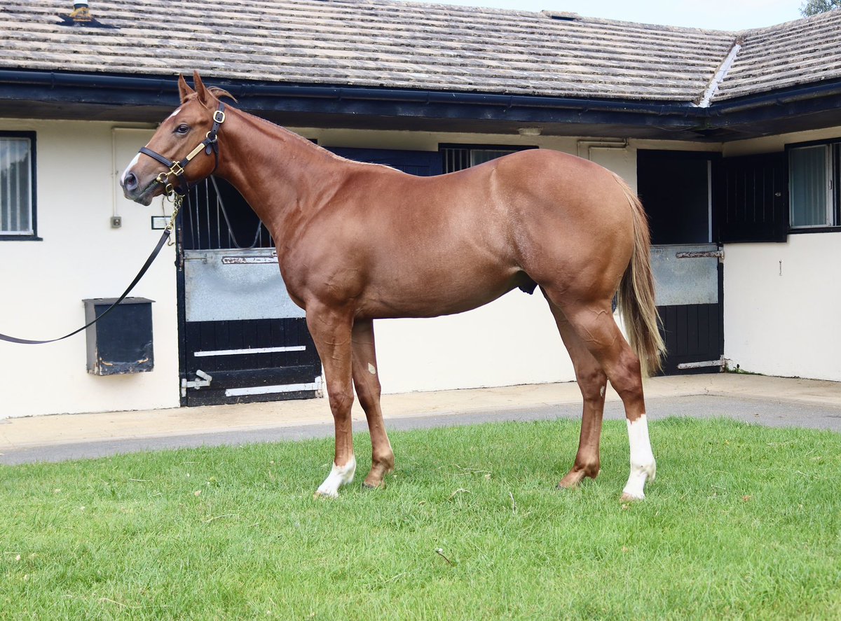 Tracy Vigors tweet media