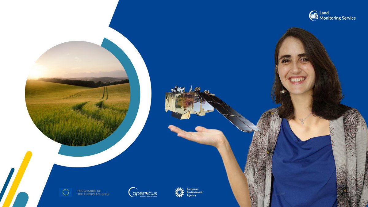Copernicus Land Monitoring Service tweet media