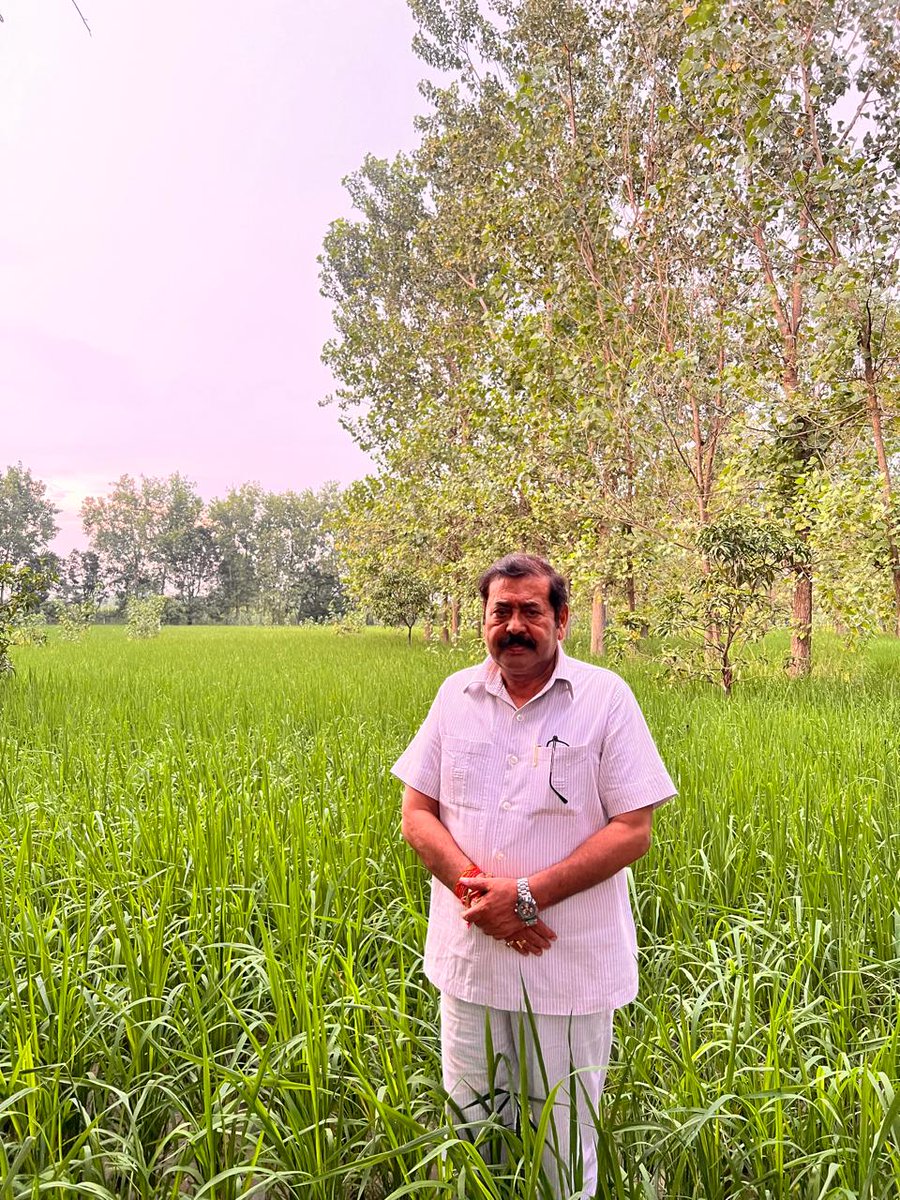 NBhardwajINC's tweet photo. आज सुबह-सुबह अपने फार्म हाउस पर धान की लहराती हुई फसल को देखकर मन अति प्रसन्न हुआ । https://t.co/WvDjSvf6S9