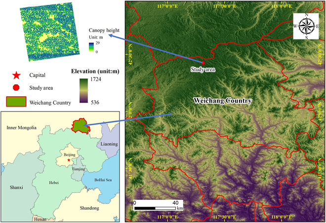 PPhenomics's tweet photo. 3D RTM and LiDAR data reveal light relationships in forests, key to enhancing productivity. Crucial insights for ecological understanding and precise forest management. #ForestryTech #3DRTM #lidar
Details: https://t.co/jPjpRfLvhW https://t.co/v0L0vJWAKl