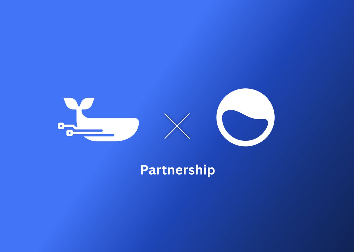 Dewhales announces partnerships with <a href="/elixir/">Elixir</a>!

Dewhales continues to support and grow its relationship with elixir.xyz by committing over $30,8m of capital to LP and bootstrap and minting Elixir Protocol’s stablecoin named deUSD. Elixir is also a portfolio company of