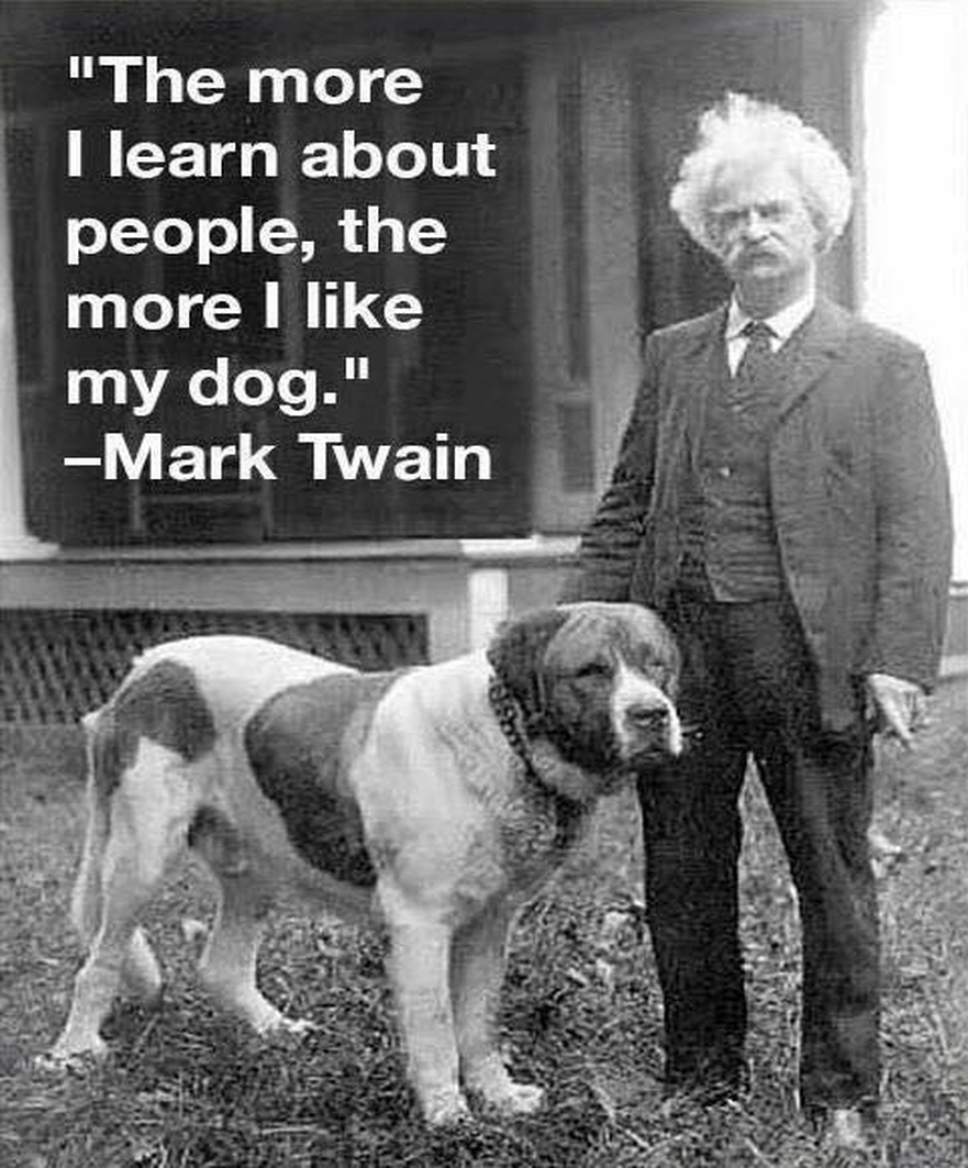 Dalbodog's tweet photo. 1000% correct https://t.co/13gUAZTxDi