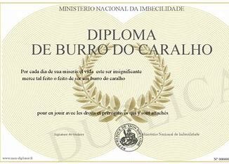 Parabéns, Rui Costa! 👏🏼