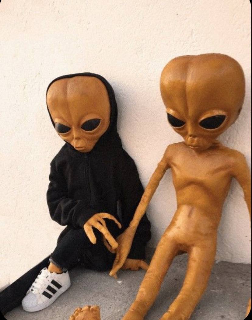 <a href="/notthreadguy/">threadguy</a> $zorp says Gm