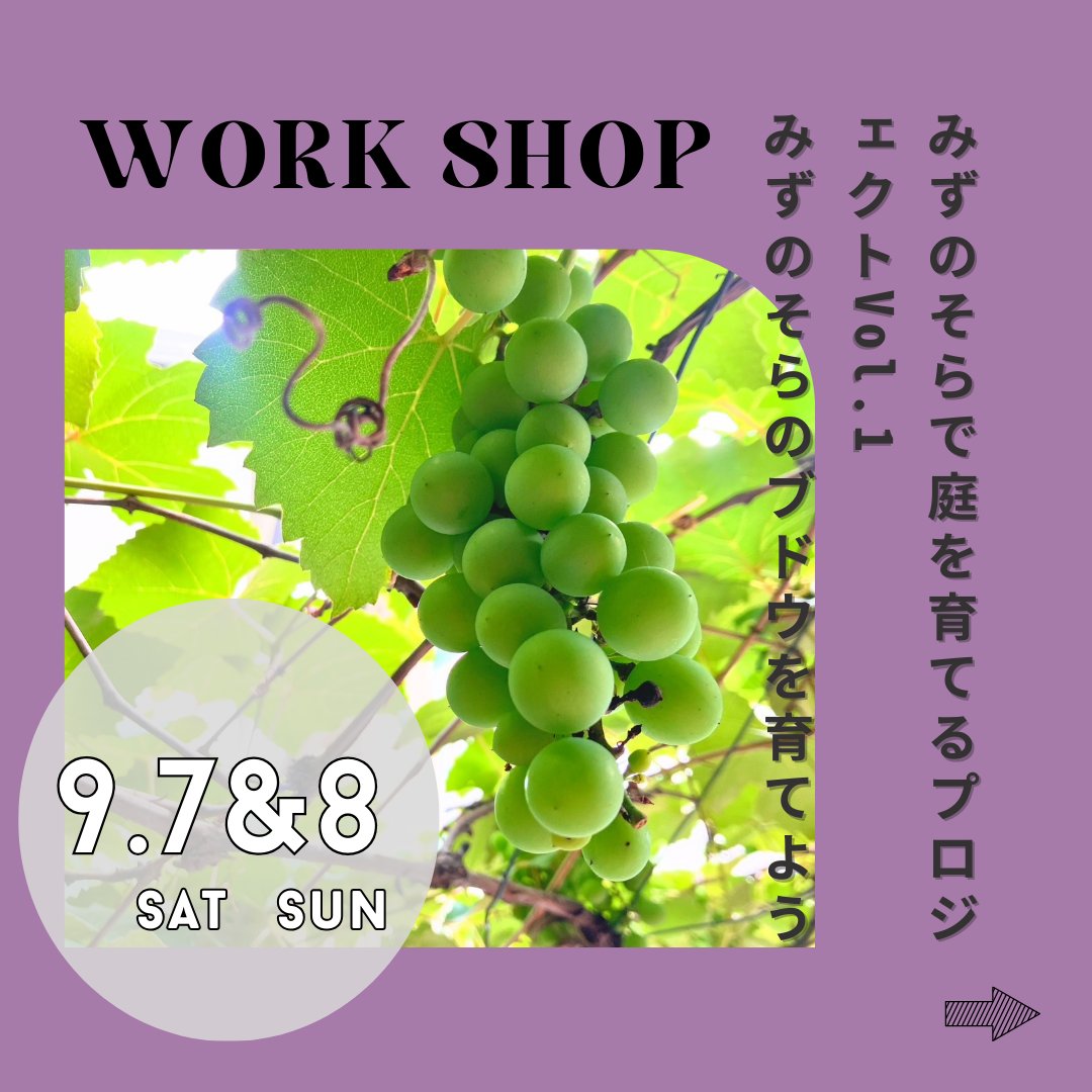 「もういちど育てる庭図鑑」出版記念イベントにてワークショップ「みずのそらのブドウを育てよう」を開催します。2,000円（ブドウの種と小さな鉢、土付き）親子参加もOK。リボベジのアイデアや育て方、楽しみ方もお話します。西荻窪のギャラリーみずのそらにて　9/7 13:00〜
peatix.com/event/4097153/…