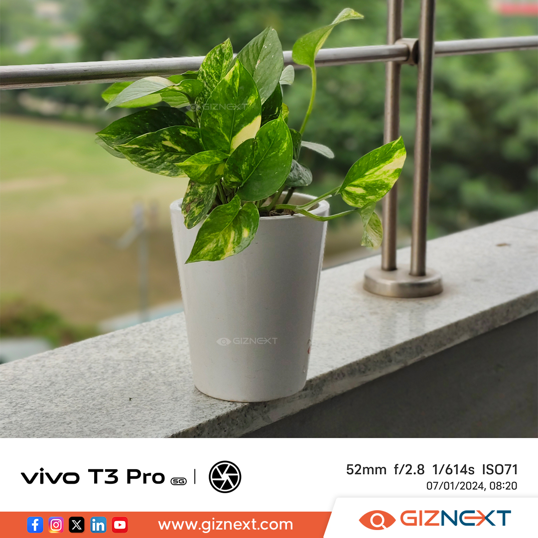 GizNext's tweet photo. Clear and Crisp π See what the Vivo T3 Pro 5G can capture. π·
.
.
.
#vivot3pro5g #vivo #CameraSamples #comingsoon2024 #giznext https://t.co/XSO4HPdFrT