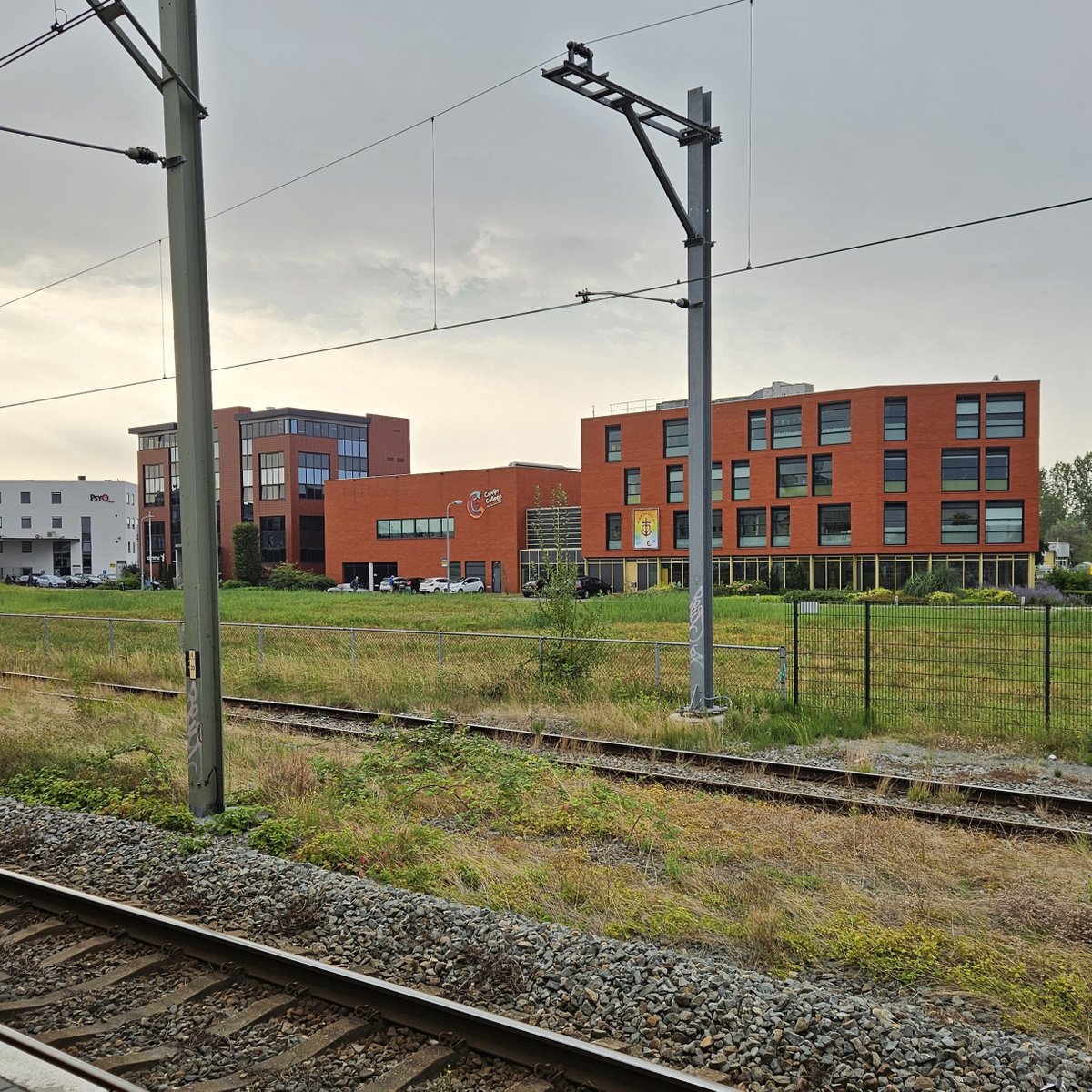 Calvijn College tweet media