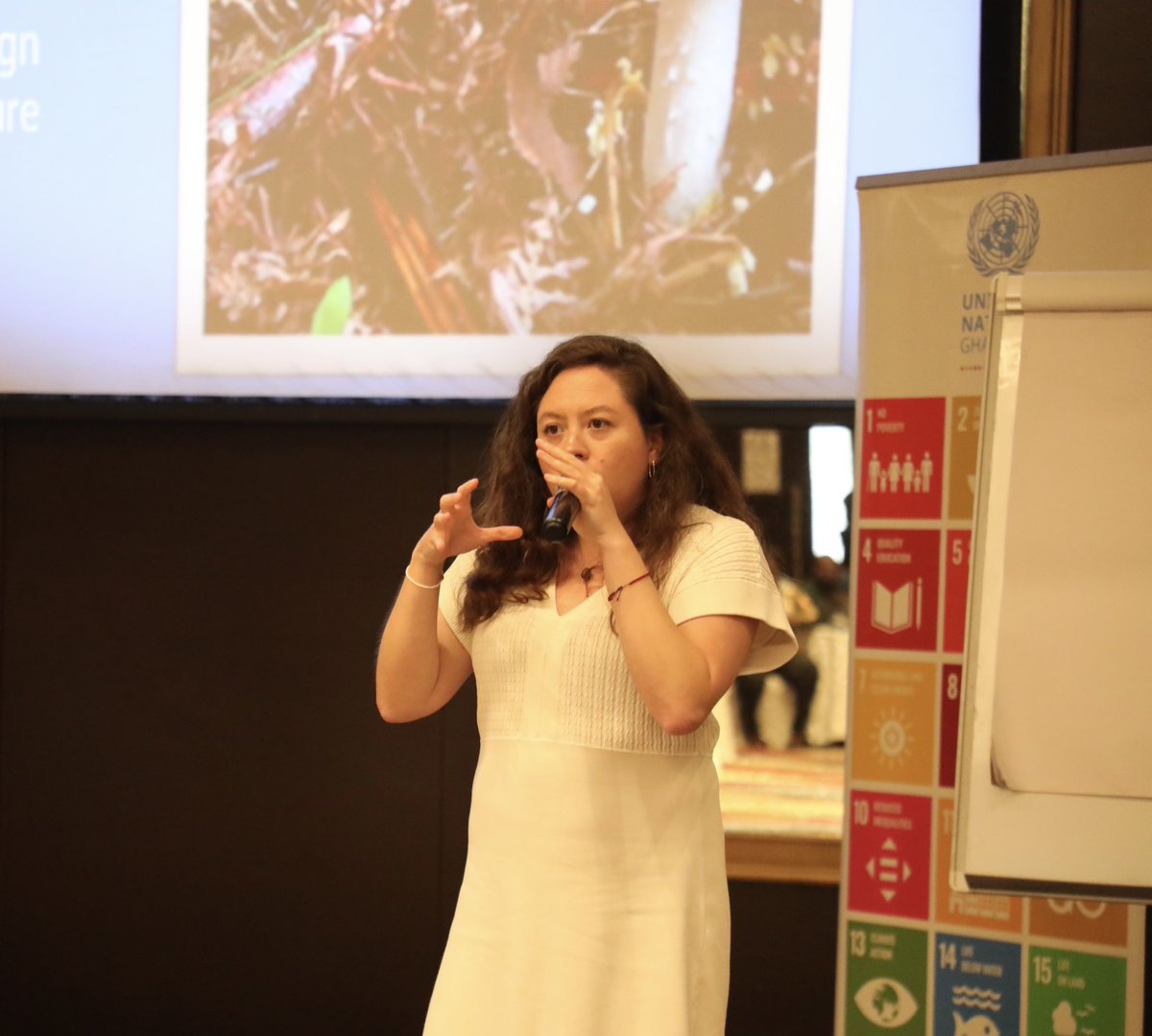 UNDP Ghana tweet media