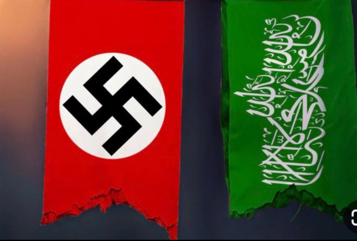 Vivid.🇮🇱 tweet media