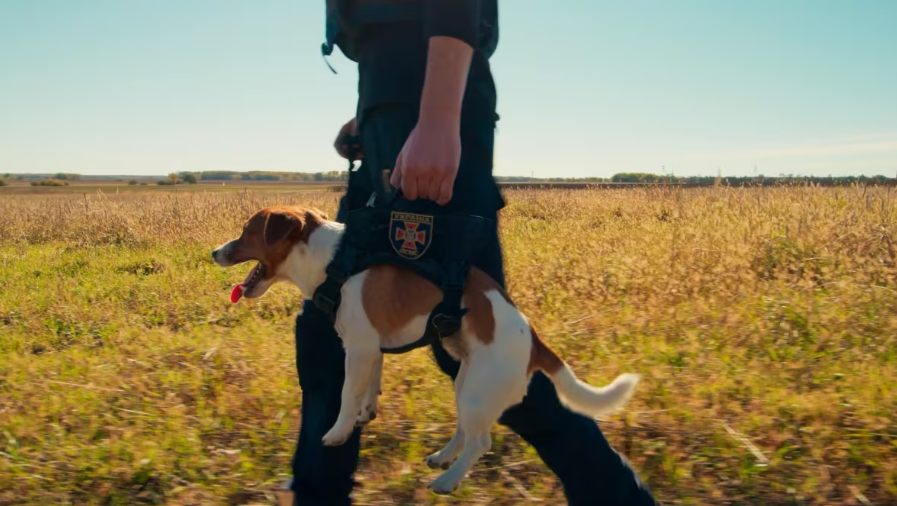 Stay bullish and let's carry our $PATRON