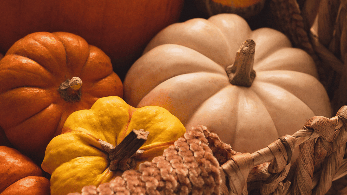 BandBConsultus's tweet photo. #Fall Guests Will Love These #Seasonal Touches At Your #BedandBreakfast #Inn | https://t.co/R4V3RFyjGt https://t.co/6zKmhkAjI6