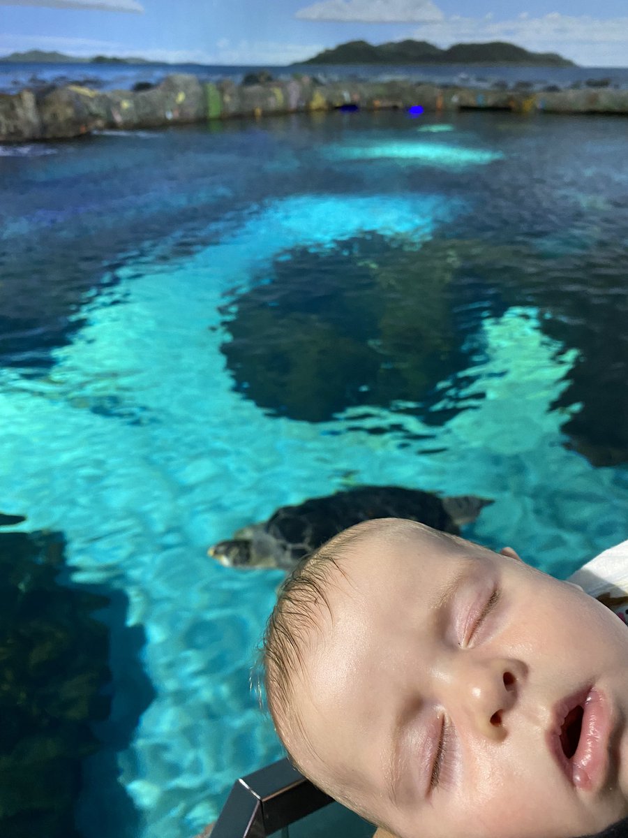 Callum Rowlinson tweet media