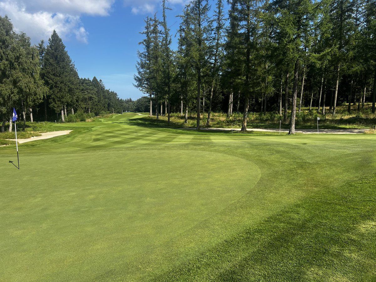 Josh Whitmore tweet media