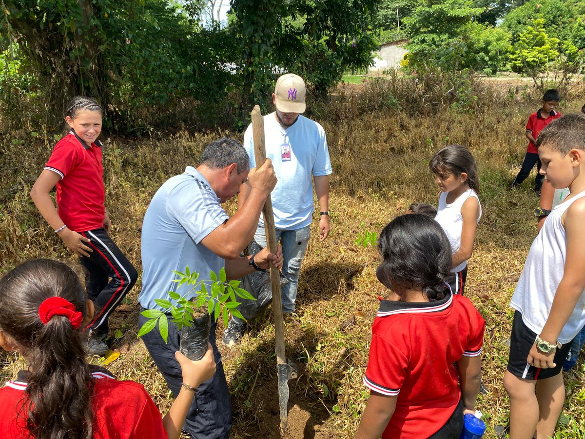 Col_Sostenible1's tweet photo. En #Tibú, corazón del #Catatumbo, estudiantes de 4° y 5° de primaria sembraron 🌳15 árboles de cedro rojo para fomentar una conciencia ambiental entre los más jóvenes en el marco de un proyecto que apoyamos con #Lexcom, @fcolombiaenpaz y @el_BID 🇨🇴🌿
@MinAmbienteCo 🍃 https://t.co/KAHRyaRQZB