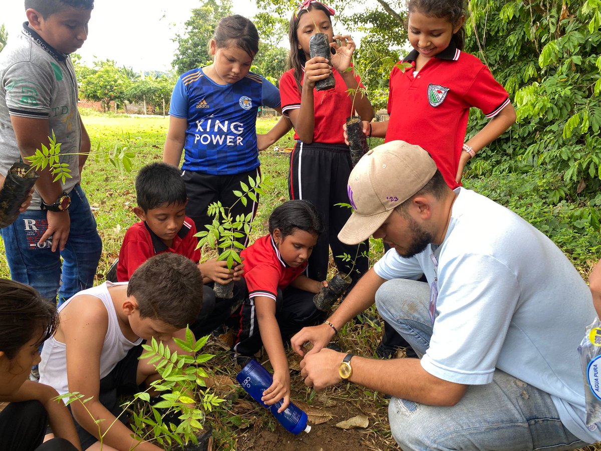 Col_Sostenible1's tweet photo. En #Tibú, corazón del #Catatumbo, estudiantes de 4° y 5° de primaria sembraron 🌳15 árboles de cedro rojo para fomentar una conciencia ambiental entre los más jóvenes en el marco de un proyecto que apoyamos con #Lexcom, @fcolombiaenpaz y @el_BID 🇨🇴🌿
@MinAmbienteCo 🍃 https://t.co/KAHRyaRQZB