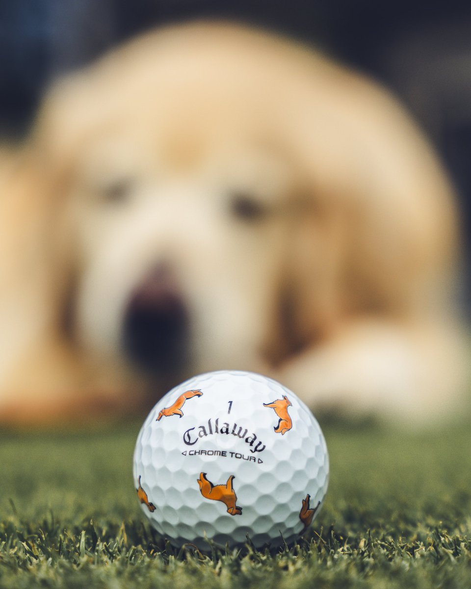 Callaway Golf tweet media