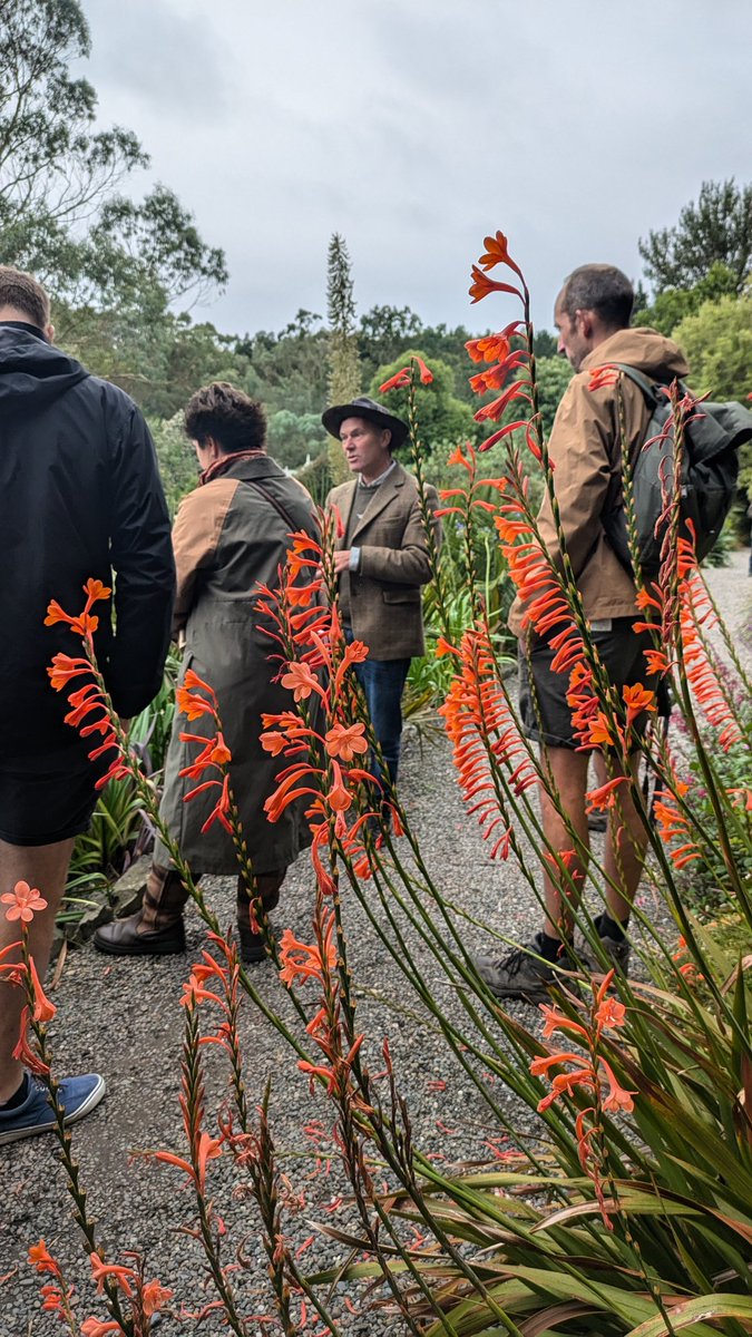 RHS Tender Ornamental Plant Committee (@tender_plant) on Twitter photo A rather windswept second day on the #TOPC study day to #Scotland and today we are being wonderfully hosted at <a href="/LoganBotanicGdn/">Logan Botanic Garden</a> by TOPC member and curator Richard Baines - this treasure trove of a #garden has #exotic plantings from all over the world, and is a plantpersons dream! A rather windswept second day on the #TOPC study day to #Scotland and today we are being wonderfully hosted at <a href="/LoganBotanicGdn/">Logan Botanic Garden</a> by TOPC member and curator Richard Baines - this treasure trove of a #garden has #exotic plantings from all over the world, and is a plantpersons dream!