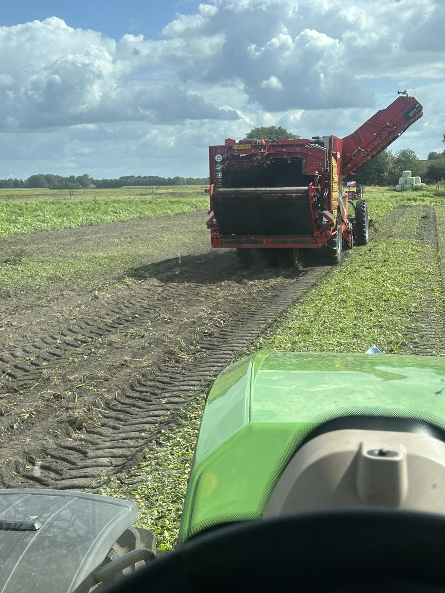 alex houwing tweet media