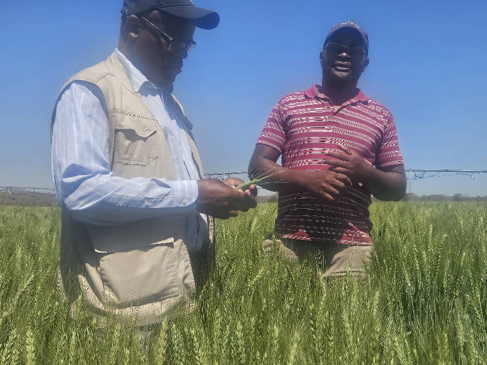 MinofAgric, Mechanisation, & Water Resources Dev. tweet media
