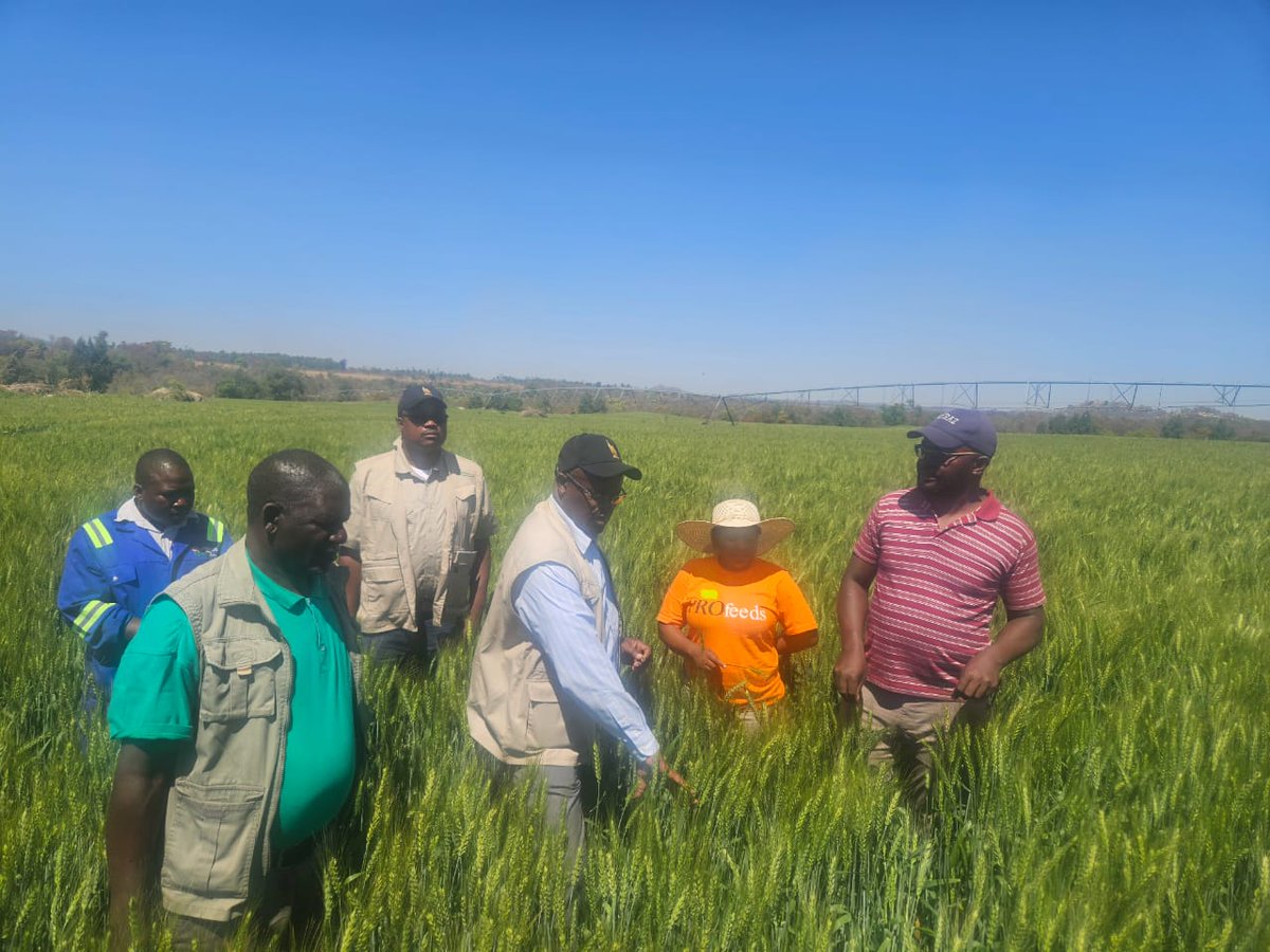 MinofAgric, Mechanisation, & Water Resources Dev. tweet media