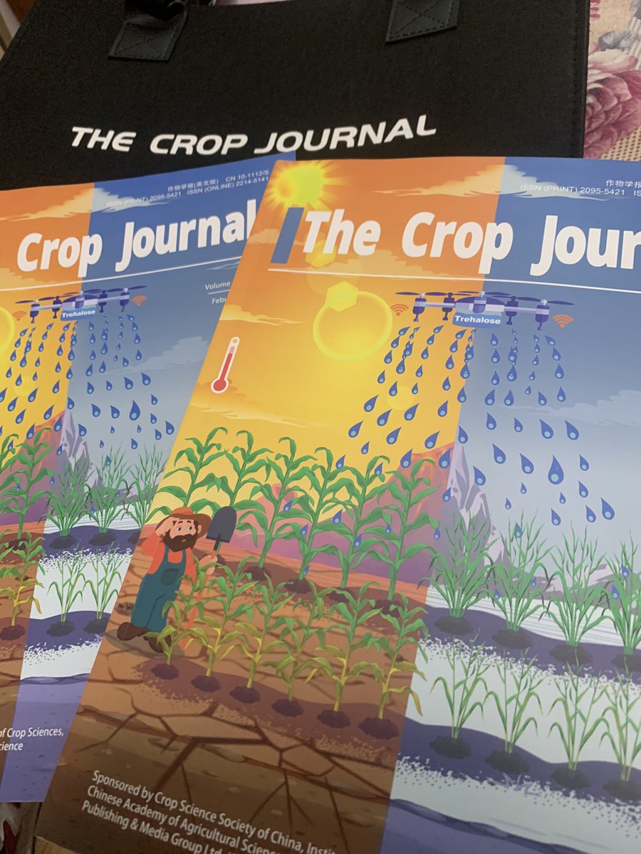 Absolutely thrilled to receive the hard copies of TCJ, Vol. 12(1)🤩, featuring our article “#Trehalose for #temperature stress❄️🔥tolerance in plants🌾🌱” on the cover📚💯🆒 

📎sciencedirect.com/science/articl…

Couldn’t be more excited—huge thanks to everyone involved🎉👏 <a href="/rajvarshney/">Rajeev Varshney FRS</a>