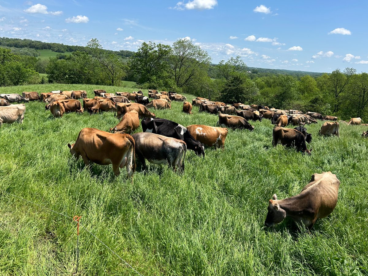 Iowa Organic Association tweet media