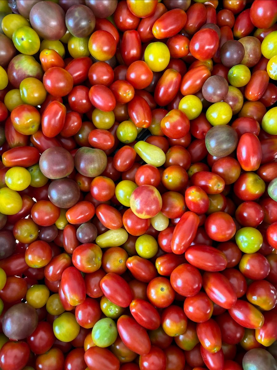 Iowa Organic Association tweet media