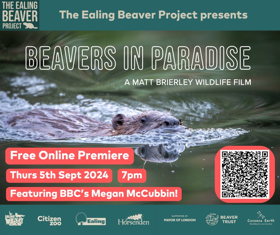 Online screening of ‘Beavers in Paradise’ by award winning wildlife filmmaker <a href="/mattbrierley/">Matt Brierley Wildlife</a> Thursday 5th Sept. The film, kindly sponsored by <a href="/ConsanoEarth/">Consano Earth</a> will be followed by a panel discussion and live Q&amp;A hosted by <a href="/MeganMcCubbin/">Megan McCubbin</a> 

Sign up here: bit.ly/4cQ9gPT