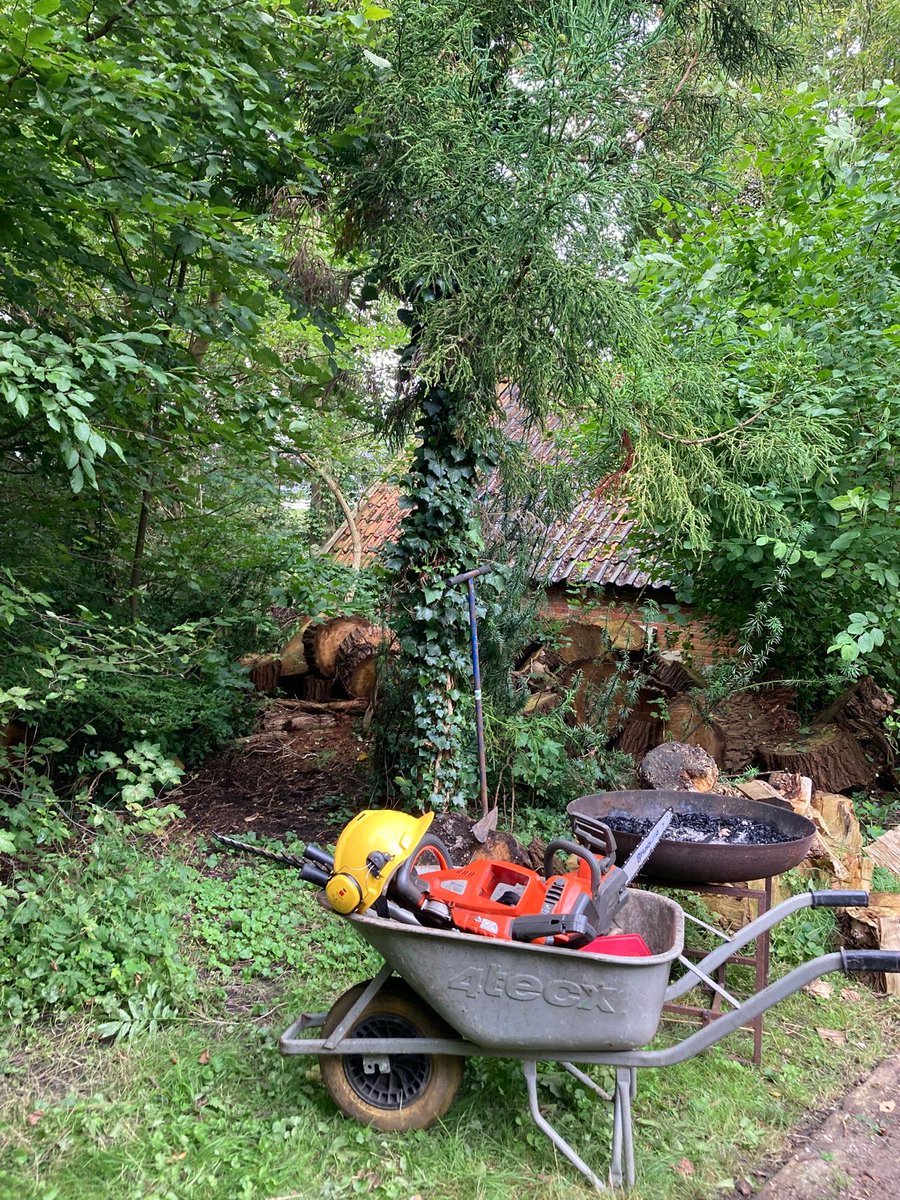 Hoe leuk is dit! Bij een monumentale woning in Garrelsweer hebben wij een tuin gesnoeid die was voorzien van bijzondere bomen, heesters en vaste planten. Alle beplanting was door de bewoner voorzien van een nummerplaatje, en dit gedocumenteerd in een 928 pagina tellend boekje.