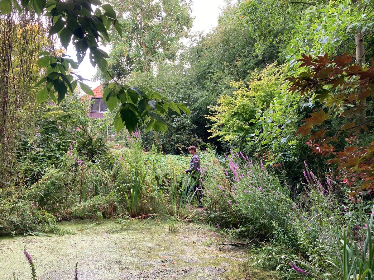 A.J. v/d Werf BV/De Roo Drente BV tweet media