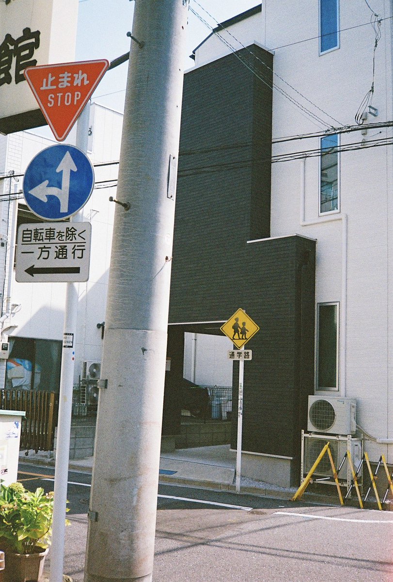 majiro0083's tweet photo. 愛おしい日々のキロク

#写真で伝える私の世界 
#ファインダー越しの私の世界 
#写真撮ってる人と繋がりたい 
#yousawscenes 
#streetphotography
#film
#konica 
#KonicaC35Flashmatic
#真城世界観 https://t.co/pyIVEJ7tdk