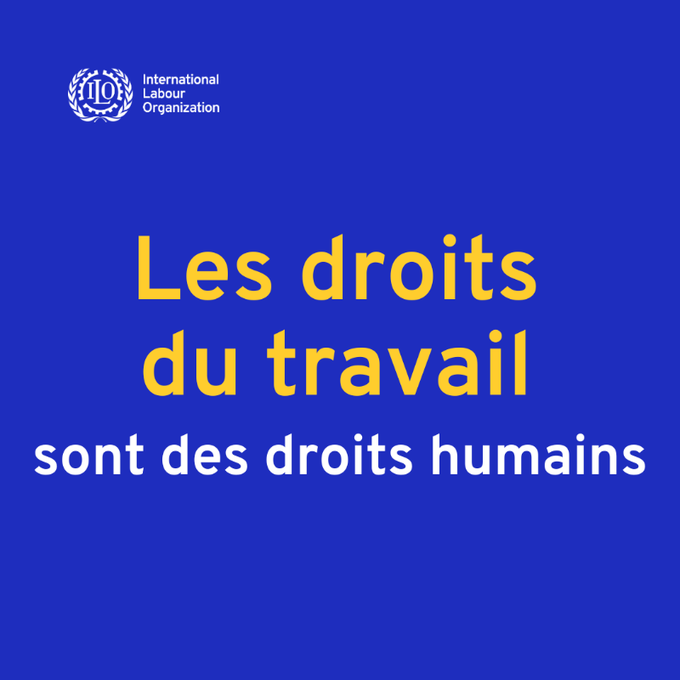 Organisation internationale du Travail tweet media
