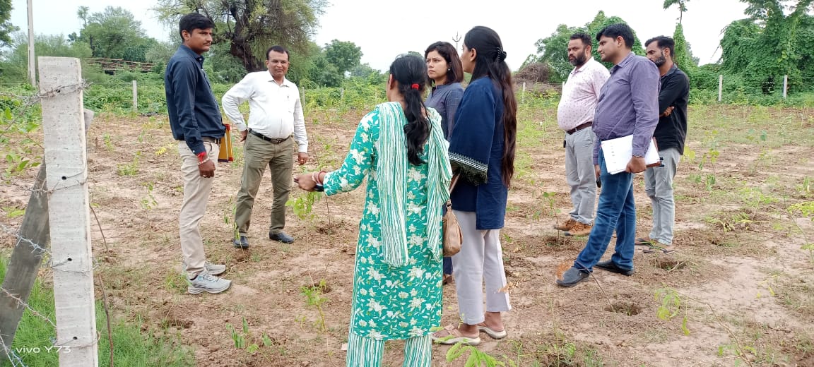 ddo_mehsana's tweet photo. MGNREGA અંતર્ગત ''મિયાવાકી'' (ઘનિષ્ટ વનીકરણ) ની મુલાકાત At Bhandu Ta Visnagar
#vanikaran
@CMOGuj
@irushikeshpatel
@GujPRHDept
@InfoGujarat
@GujDCoffice
@CollectorMeh https://t.co/TjZxBFshzq