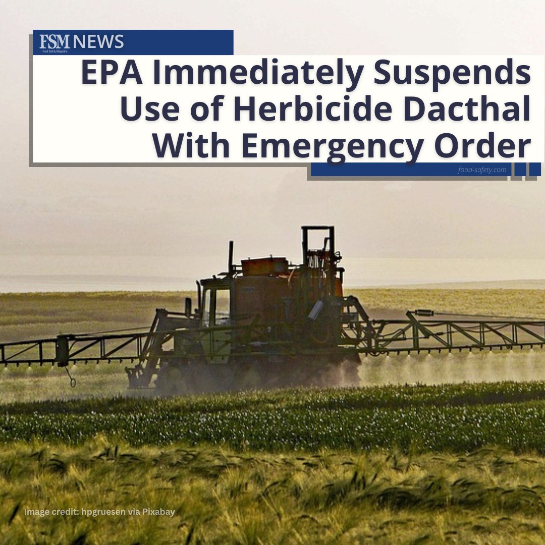 FoodSafetyMag's tweet photo. For the first time in 40 years, #EPA has used an emergency order to stop the use of a pesticide; specifically, DCPA a.k.a. #Dacthal, which is used on produce and can affect fetal health and development.
👉 MORE: https://t.co/U6xxz8Zxd3 (free subscription required)
#foodsafety https://t.co/VzxYSYb3i2