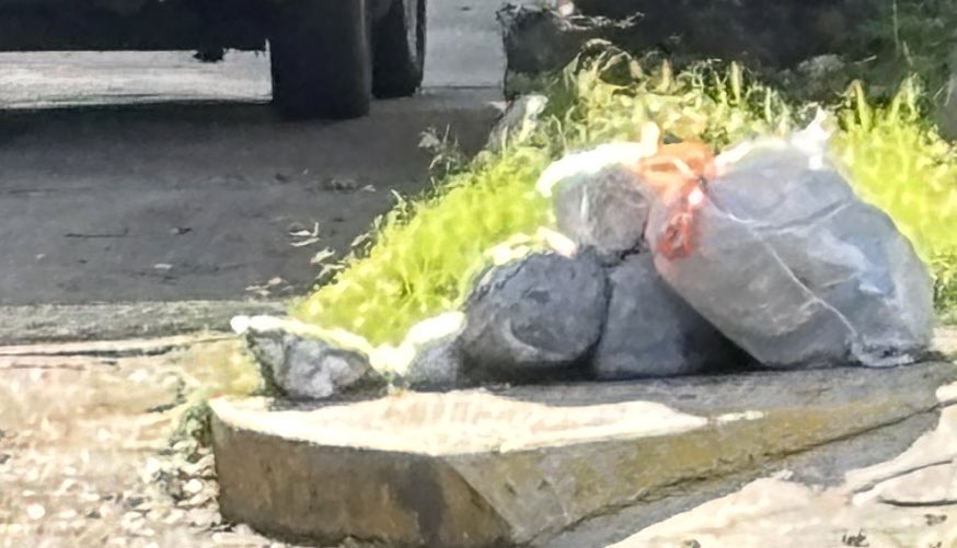 conVIVEgdl's tweet photo. En la colonia #Providencia hay que estar reportando para que pase la basura? Urge regularidad en el servicio, que se informe a la ciudadanía para que no haya desechos en las calles por días, es tema de salud pública también! 😠

 @Trafico_ZMG @GuadalajaraGob @felixgastelum1 https://t.co/chU0dbNy9f