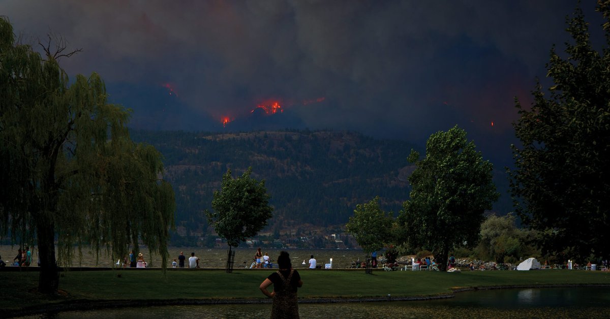 Landscape Trades tweet media