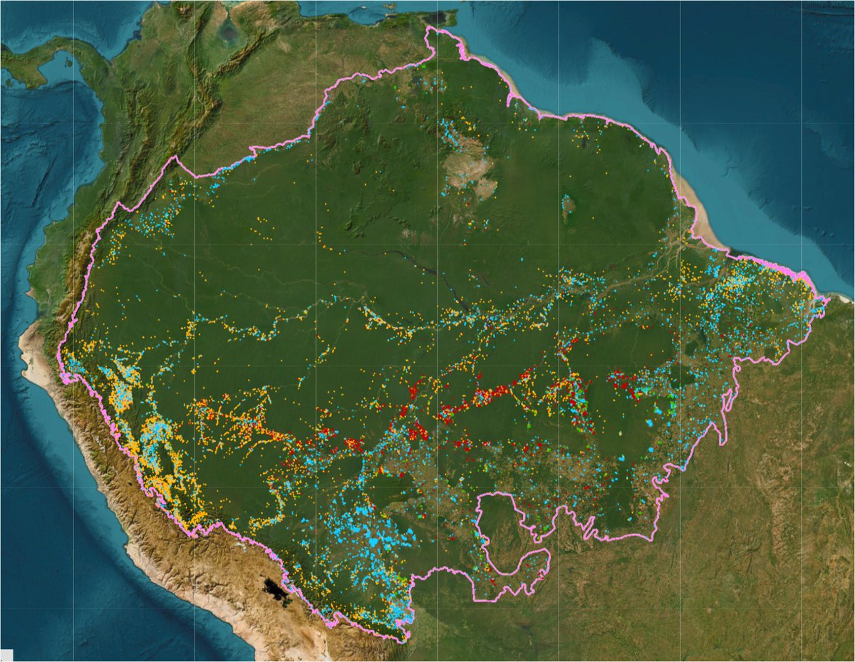 Para poder compreender melhor o que está queimando na Amazônia, temos esta imagem que pode ser obtida através da plataforma de monitoramento da NASA.

O que significa cada ponto desse colorido abaixo?

🔴 Em vermelho - fogo de desmatamento;
🔵 Em azul - fogo de pastagem;
🟡 Em