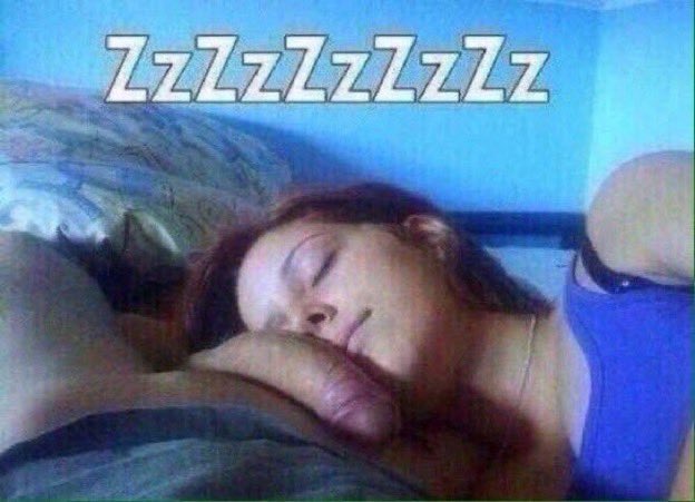 don_nariz's tweet photo. Dios lo que esta para dormir una buena siesta https://t.co/J724zdafSe
