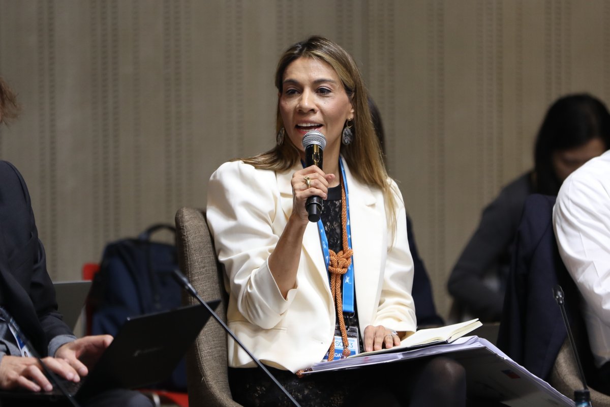 The final dialogue, "A New Look at the Free Trade Area of the Asia-Pacific (FTAAP): How to Advance the FTAAP Agenda," was held on 19 August in Lima. Members including <a href="/pecctweet/">PECC</a> and <a href="/APECBiz/">APEC Business Advisory Council (ABAC)</a> exchanged perspectives on how #APEC could reinvigorate the work on FTAAP. #APECPeru2024