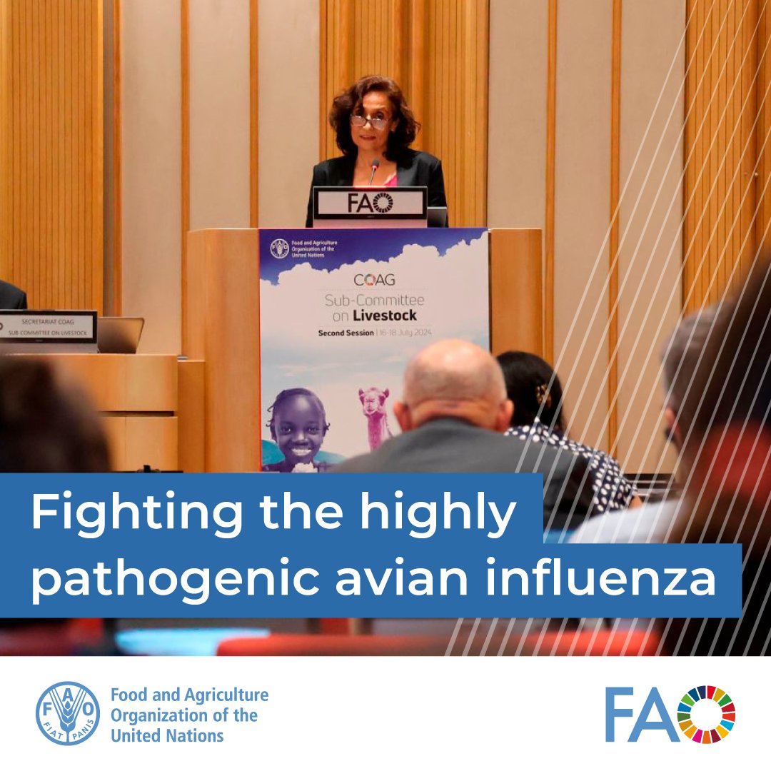 FAO Livestock tweet media