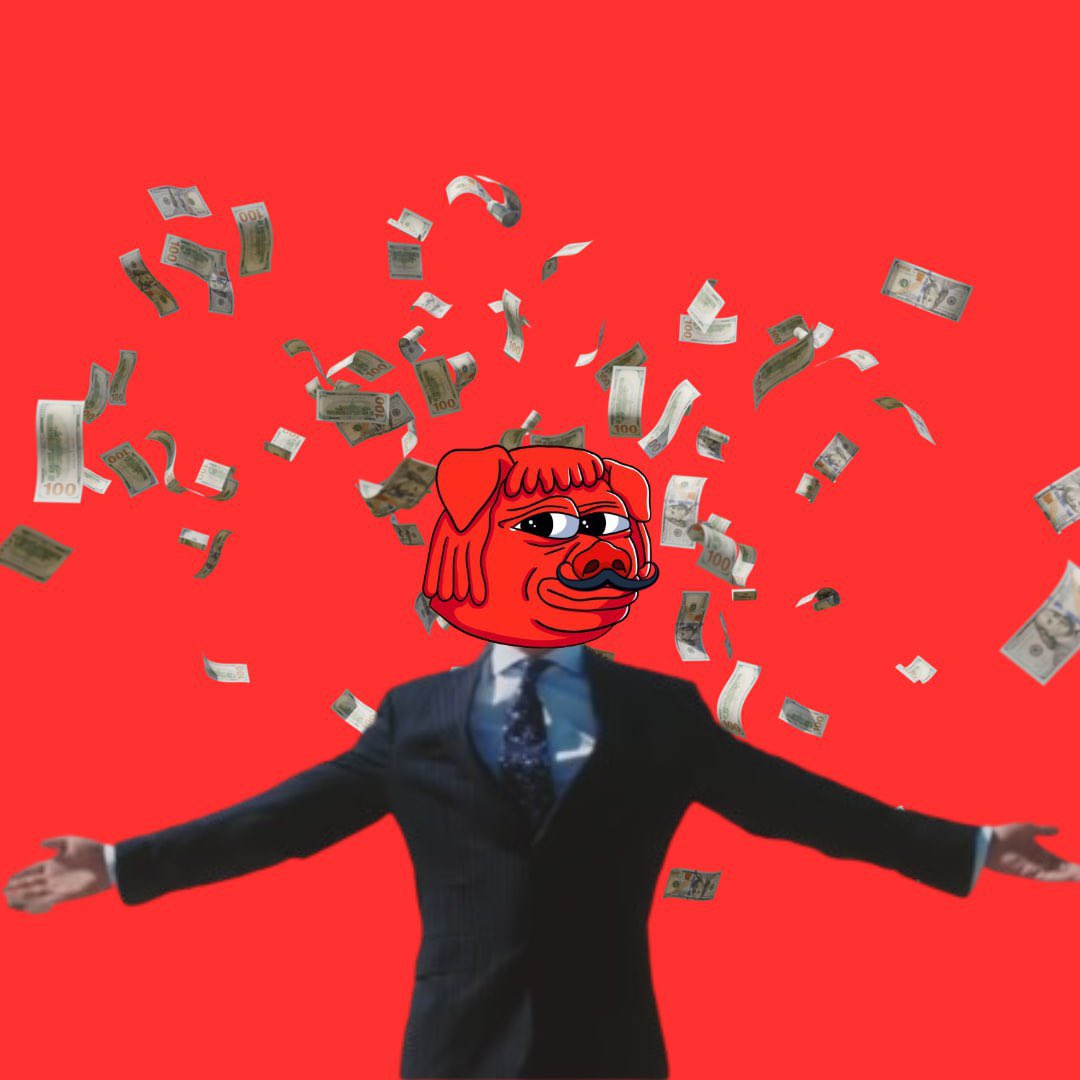 Little Mustacho 🐕 tweet media