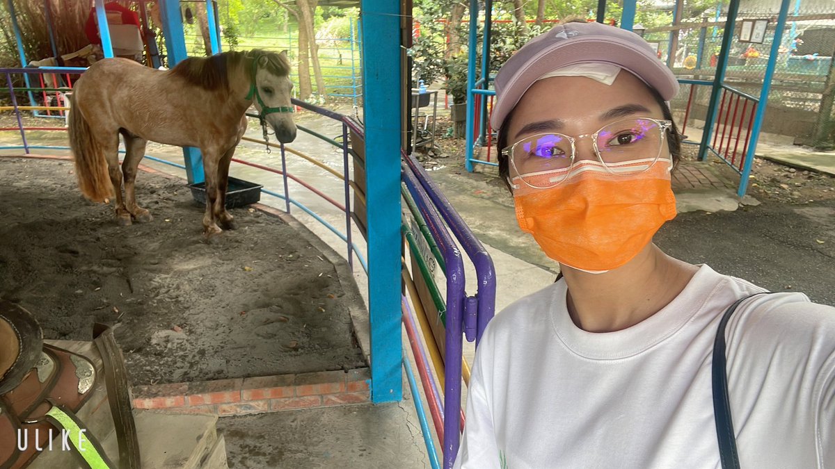 白兔🐰好可愛，還是我比較可愛😍？
後面的馬🐎就先不說了！ https://t.co/UvrDwQAGnq