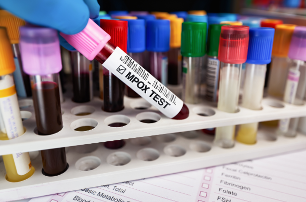 Absolute Antibody tweet media