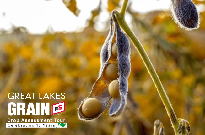 greatlakesgrain's tweet photo. Great Lakes Grain Crop Assessment Tour starts in 5 DAYS!
Sign- up today to be apart of celebrating 15 years.
https://t.co/Xt68JlDfFZ
#GLG #GLGTour2024 #GLGinterns https://t.co/x78hp1Xia1