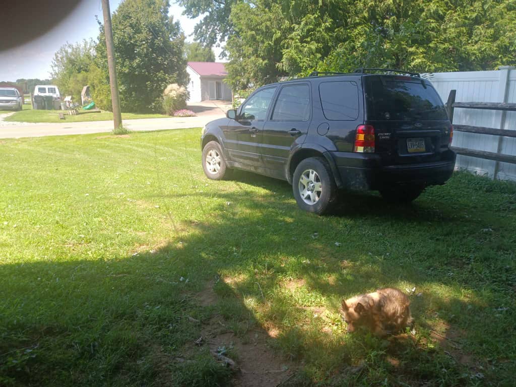 quinnfinite019's tweet image. 