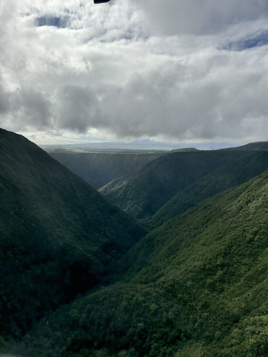 Hawaii is poggers dude