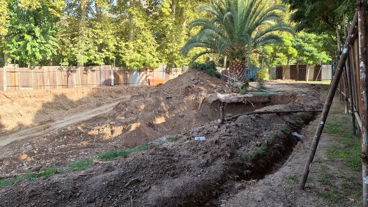 وقتی همه خوابیم
این فاجعه ای است بر محدوده حصارکشی شده و پر درختِ پارک لاله آمده است.
وقتی یک تابلوی مخزن آب،قتل عام درختان را در هیاهوی سوت و کف برای کابینه بی اهمیت می کند.
مرگ بر شهرداری که قاتل درختان است
مرگ بر شورای شهری که ناظر درخت کشی است
مرگ بر ما که تماشاگریم