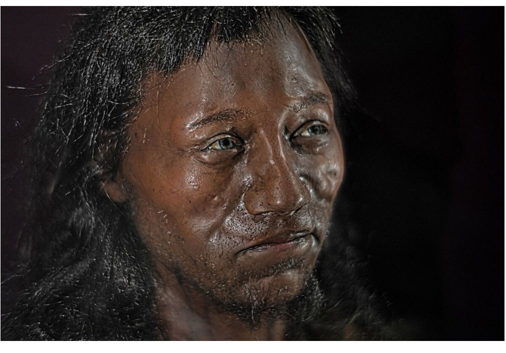 Derek Gow tweet media