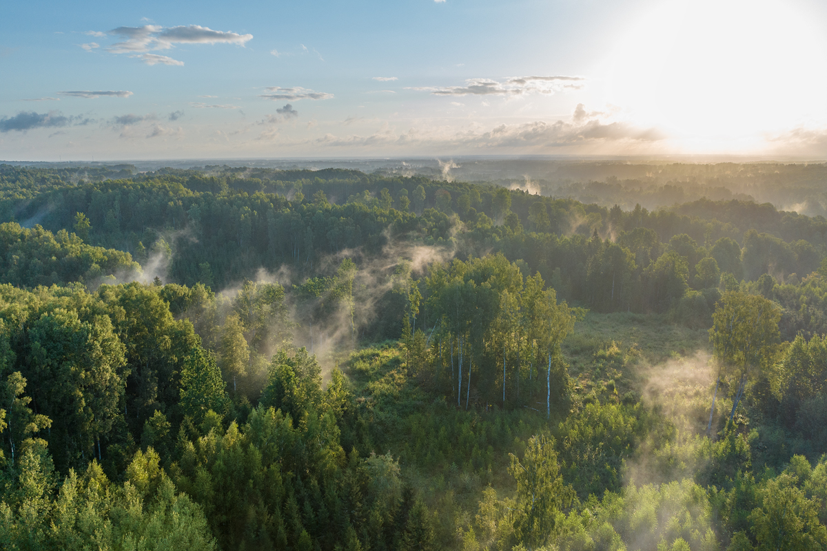 Dažreiz ir vērts piecelties agrāk - 6:41. Padarbojos ar sen aizmirstu draugu - dronu. Kuldīgas novads, Skrundas apkārtne. Migla. Miers. Ļoti liels pozitīvais lādiņš.